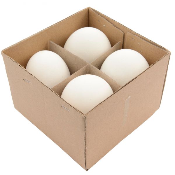 Decorazioni uova di oca