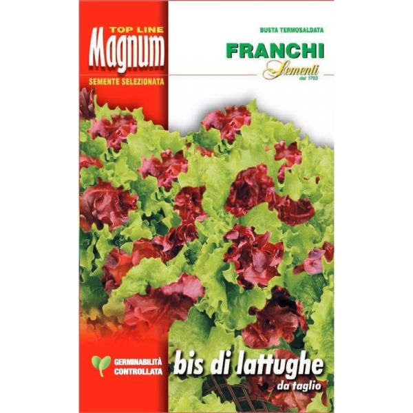 Semente magnum bis di lattughe da taglio