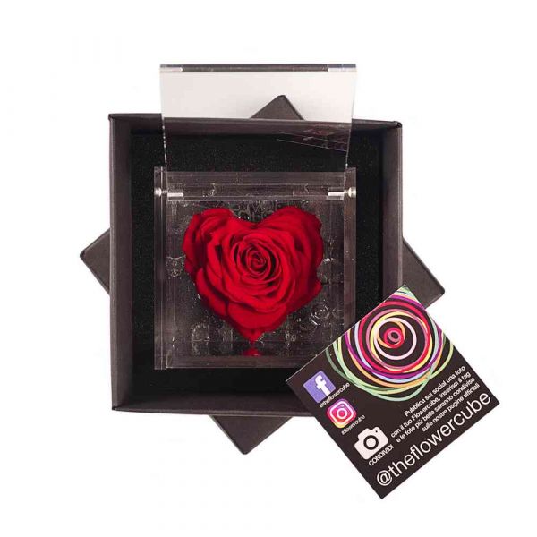 Rosa stabilizzata a forma di cuore rossa in elegante scatolina 8x8 cm