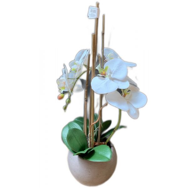 Vaso phalaenopsis 1 ramo artificiale
