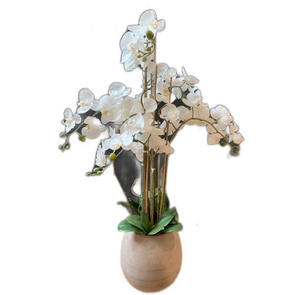 Vaso phalaenopsis 6 rami artificiale