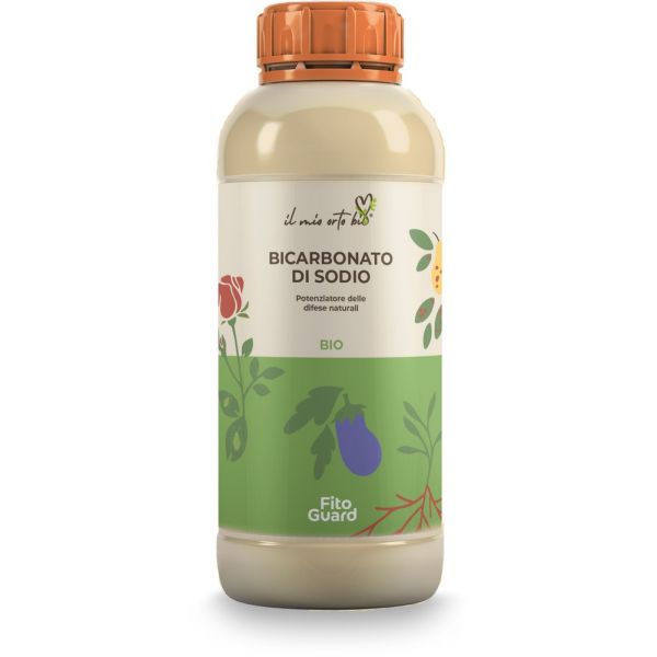Bicarbonato di sodio 200g