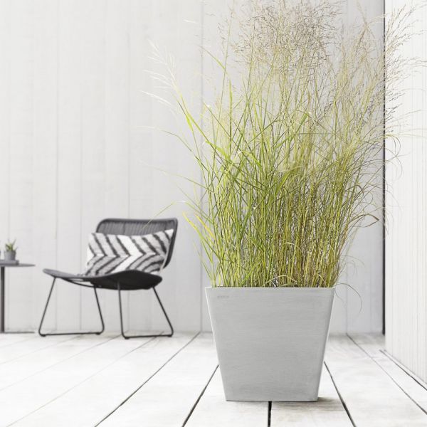Rotterdam white grey