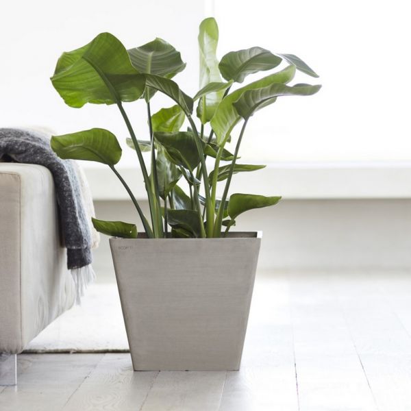 Rotterdam taupe