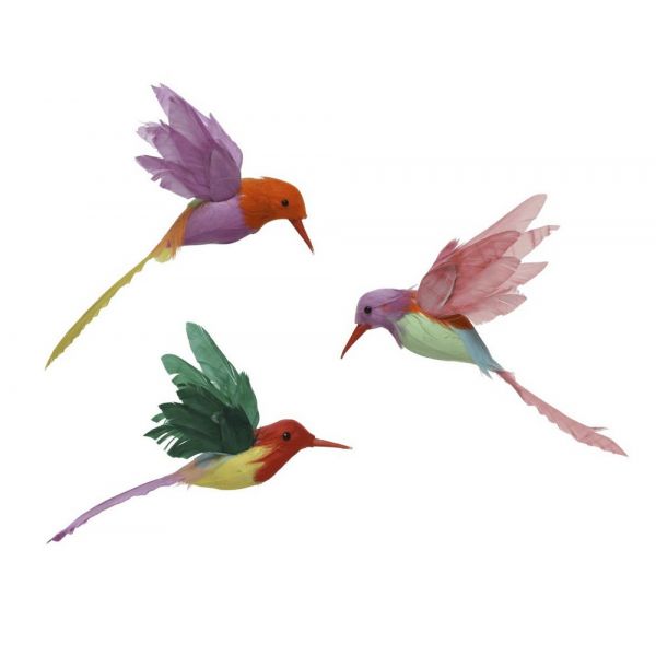 Bird-feather-hummingbird-on-c-12-14-4