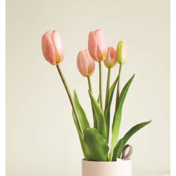 Mazzo di tulipani profumati