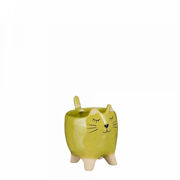 Funny pot cat green