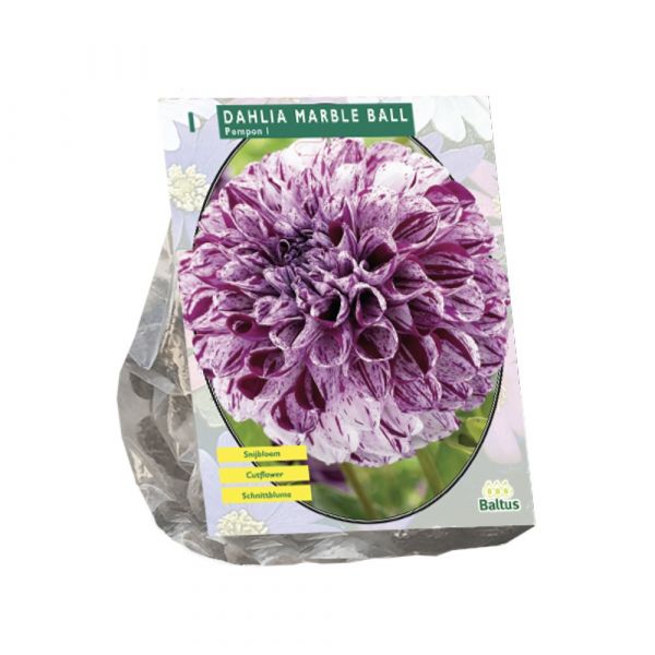 Dalia pompon marble ball