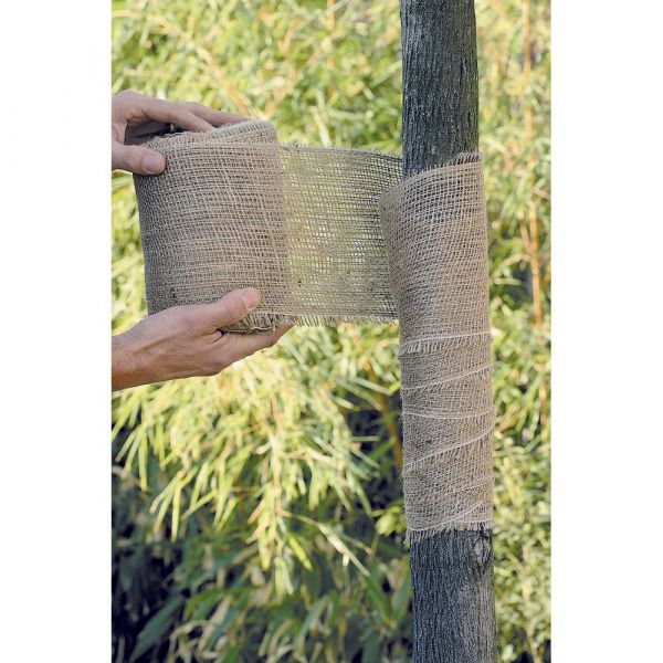 Fascia per tronco albero gr. 750