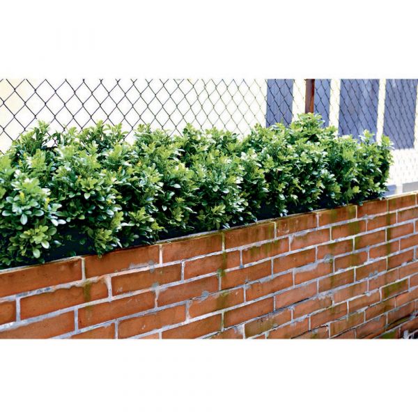 Siepe artificiale buxus 3d