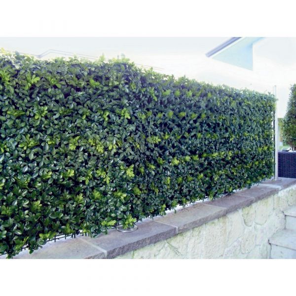 Siepe artificiale buxus