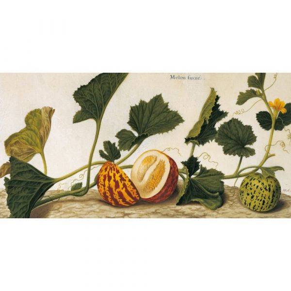 Garden eden. masterpieces of botanical illustration