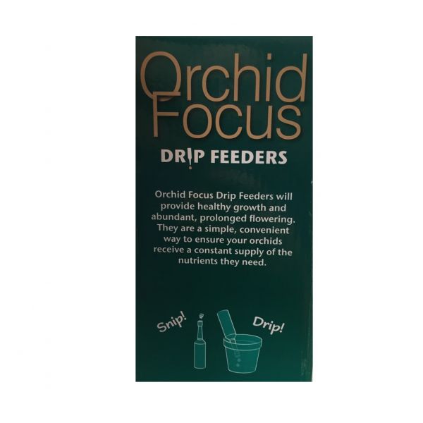 Orchid focus drip feeder