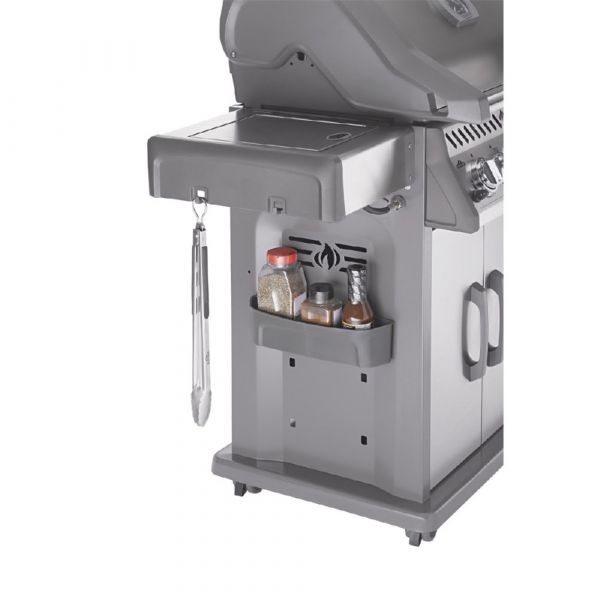Barbecue a gas rogue r425sib
