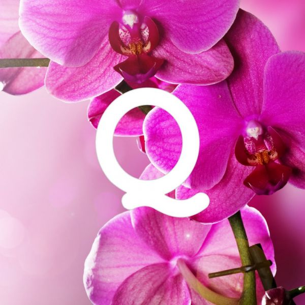 Fragranza all'orchidea e legni speziati 20ml