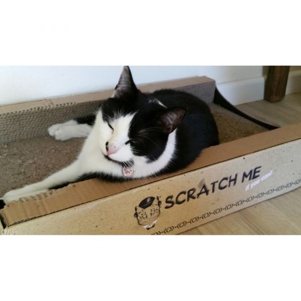 Scratch