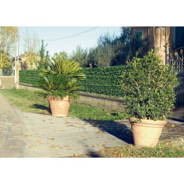 Siepe artificiale edera