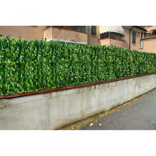 Siepe artificiale edera