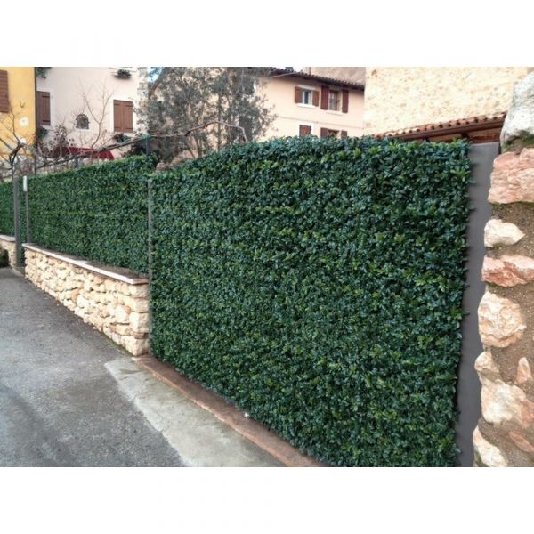 Siepe artificiale buxus