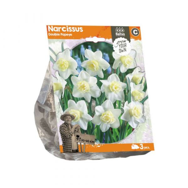 Narciso double popeye