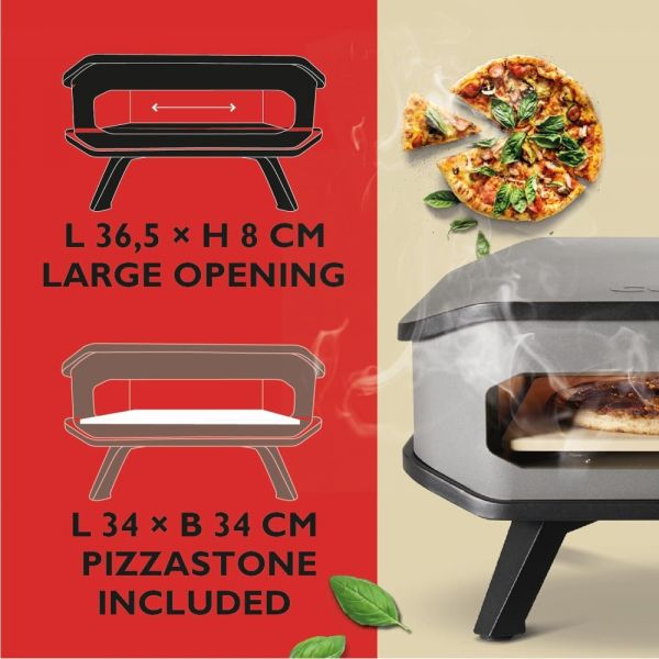 Forno pizza a Gas 13