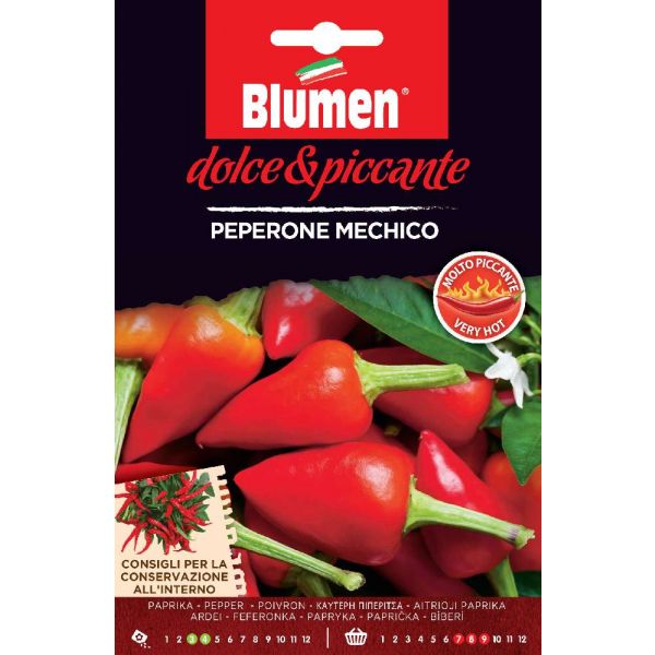 Peperoncino Mechico Blumen