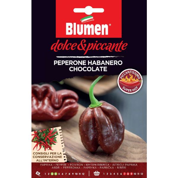 Peperoncino Habanero Chocolate Blumen