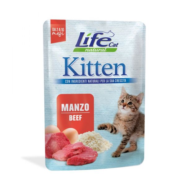 lifecat-kitten-manzo
