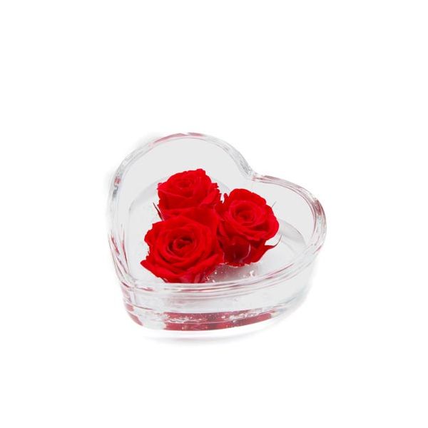 Cuore di rosa | 3 rose stabilizzate (12 cm) 