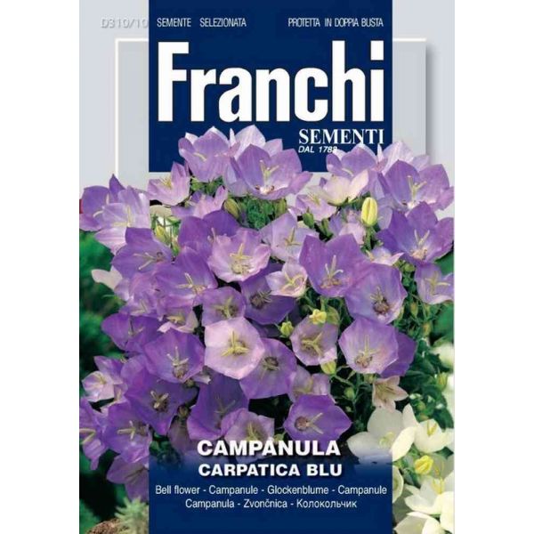 Campanula-carpatica-blue-db