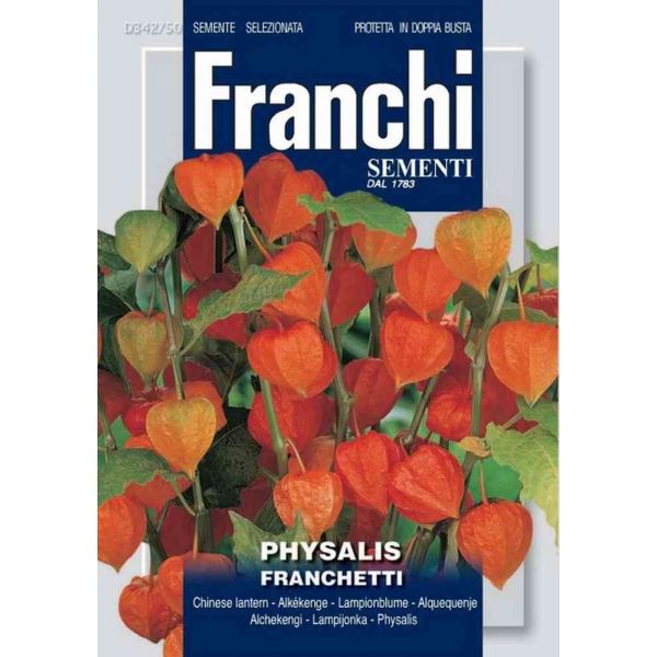 Physalis-franchetti-db