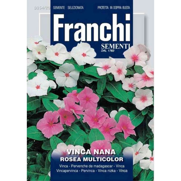 Vinca-rosea-mix-db