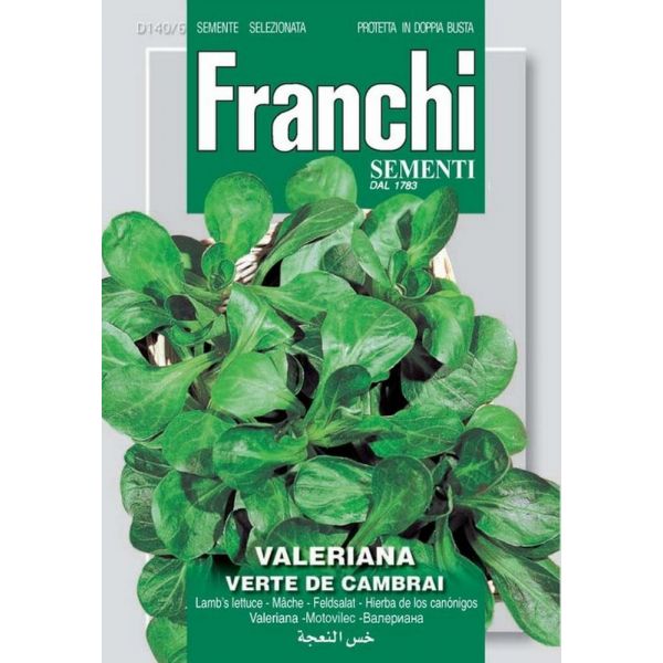 Valeriana-v.cambrai-Doppia-Busta-Franchi-Sementi