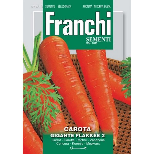 Carota-flakkee-2-Doppia-Busta-Franchi-Sementi