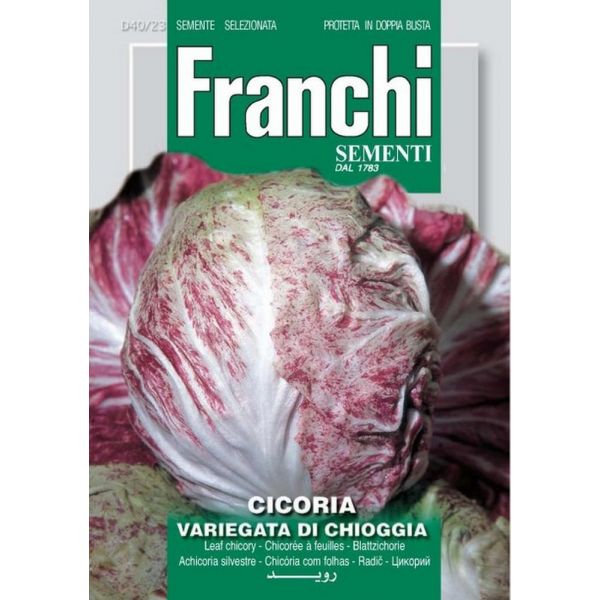 Cicoria-viariegata-di-chioggia-Doppia-Busta-Franchi-Sementi