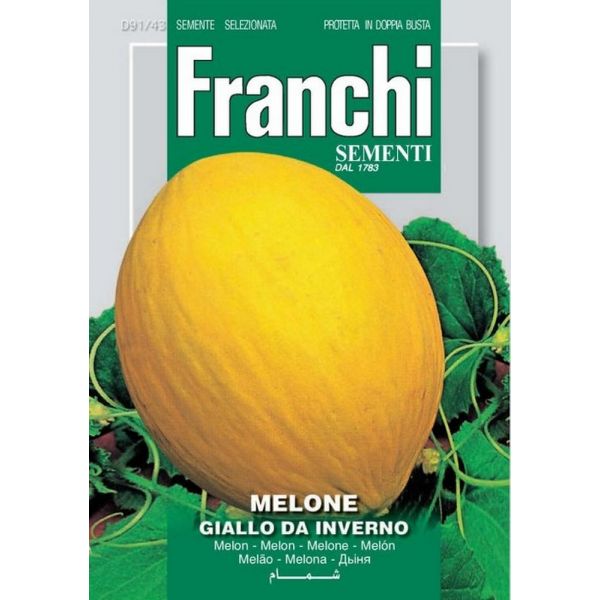 Melone-giallo-inverno-3-Doppia-Busta-Franchi-Sementi