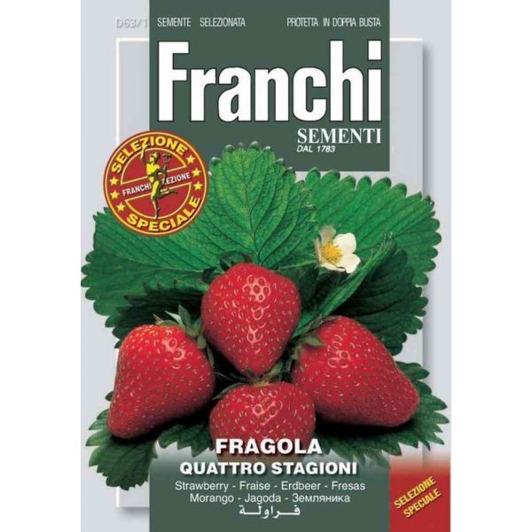 Fragola-4-stagioni