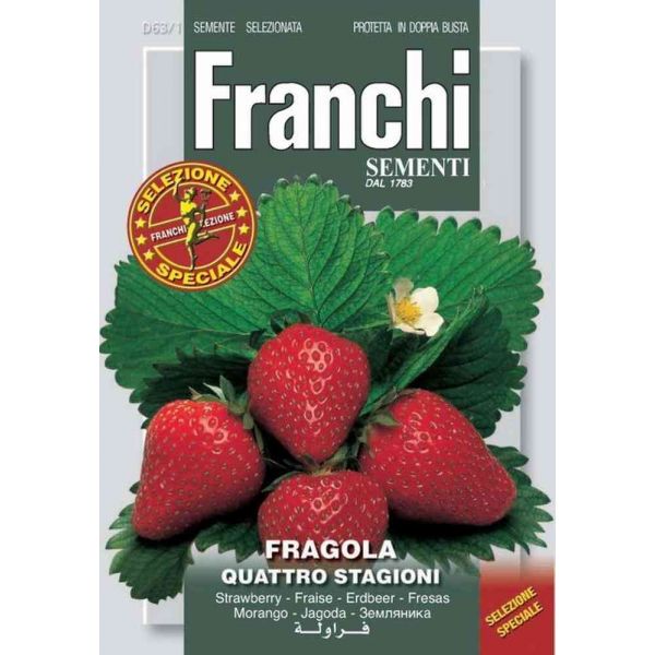 Fragola-4-stagioni