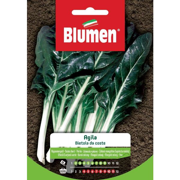 Bietola Da Coste Agila Blumen