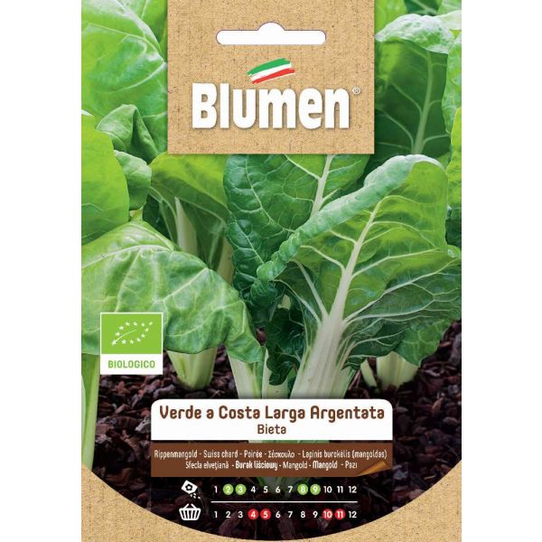 Bio Bieta Da Coste Blumen