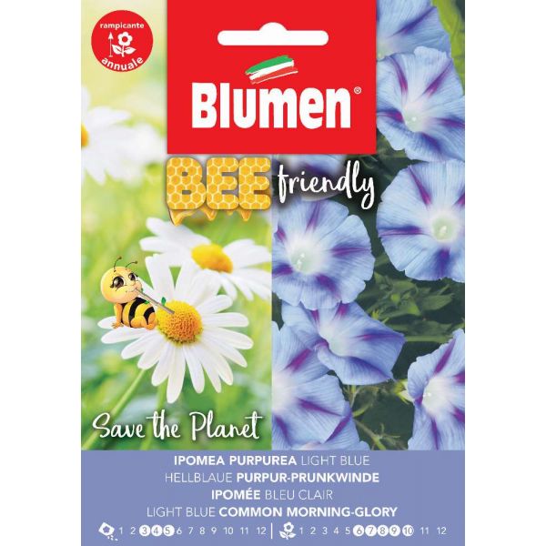 Ipomea Pur. L. Blue Blumen