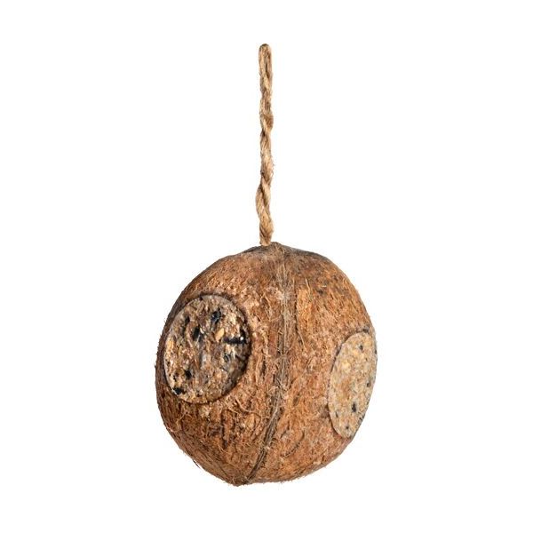 Noce di Cocco ripiena classica