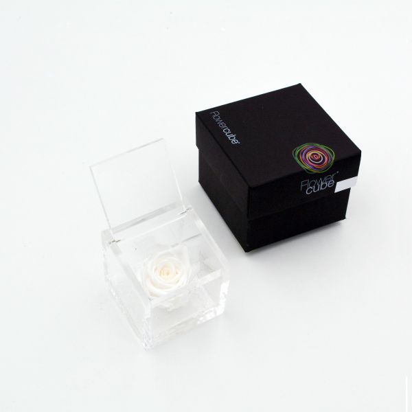 Flowercube | Rosa stabilizzata colore bianco (6x6 cm) 