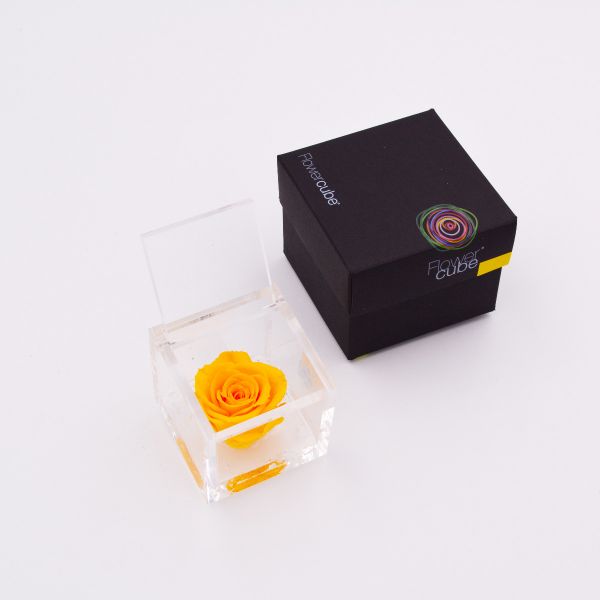 Flowercube | Rosa stabilizzata colore giallo (6x6 cm) 