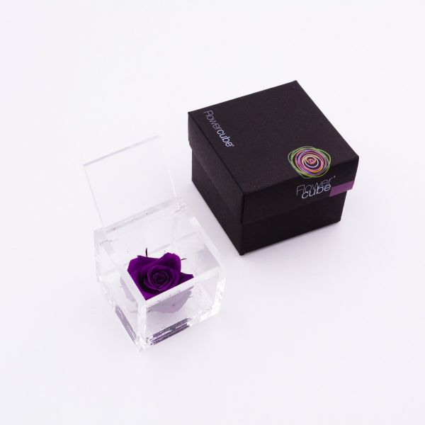 Flowercube | Rosa stabilizzata colore viola (6x6 cm) 