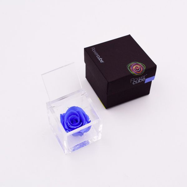 Flowercube | Rosa stabilizzata colore azzurro (6x6 cm) 