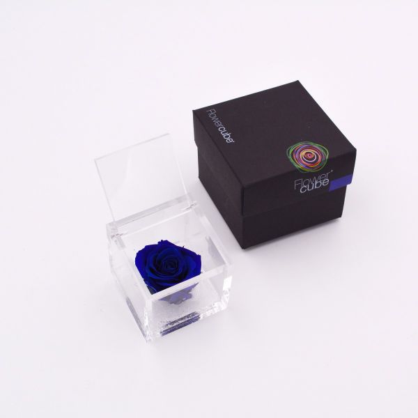 Flowercube | Rosa stabilizzata colore blu (6x6 cm) 