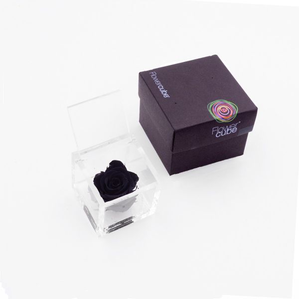 Flowercube | Rosa stabilizzata colore nero (6x6 cm) 