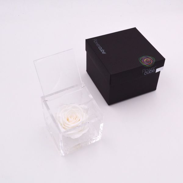 Flowercube | Rosa stabilizzata colore bianco (8x8 cm) 