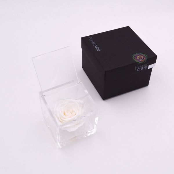 Flowercube | Rosa stabilizzata colore bianco (8x8 cm)